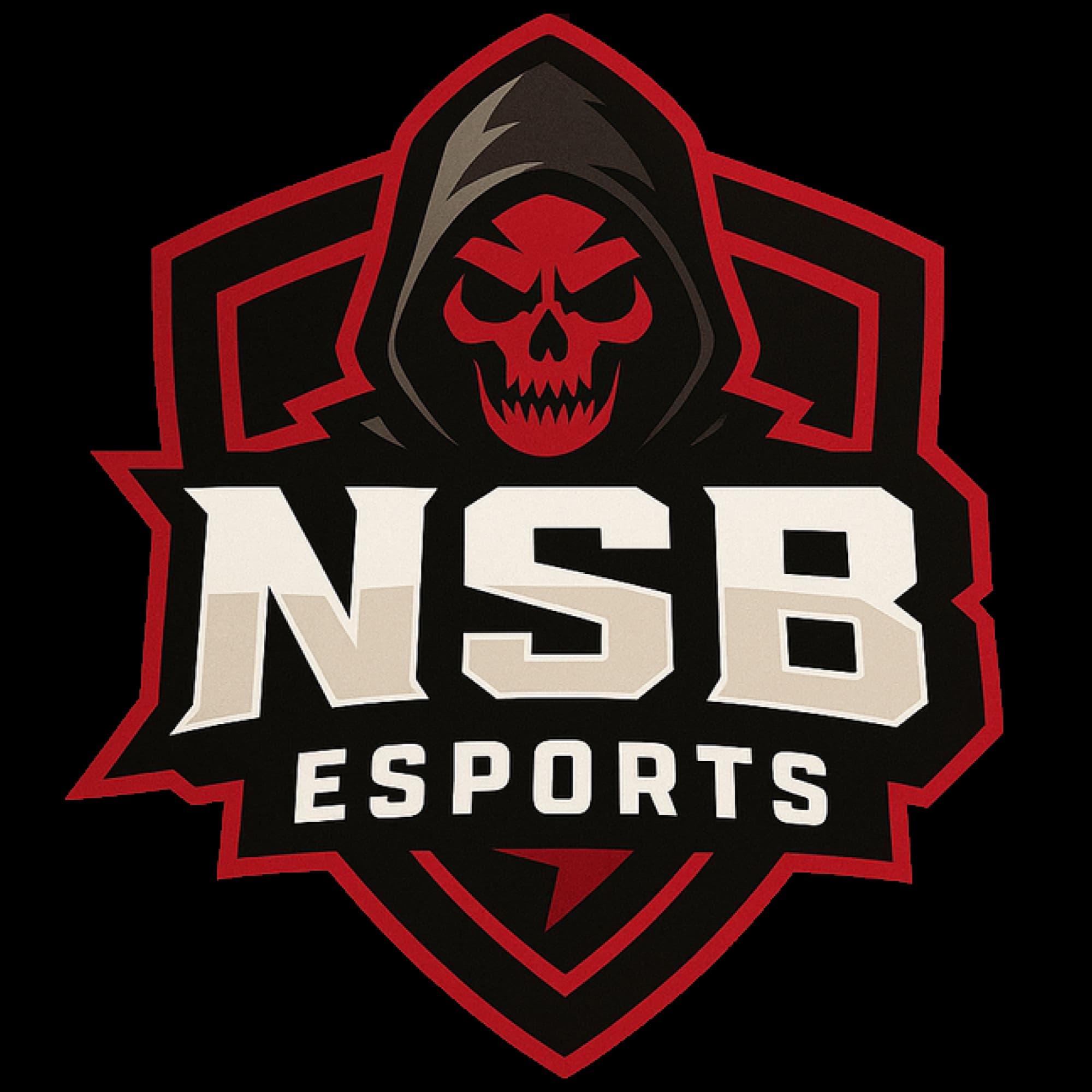 NSB Esports Logo